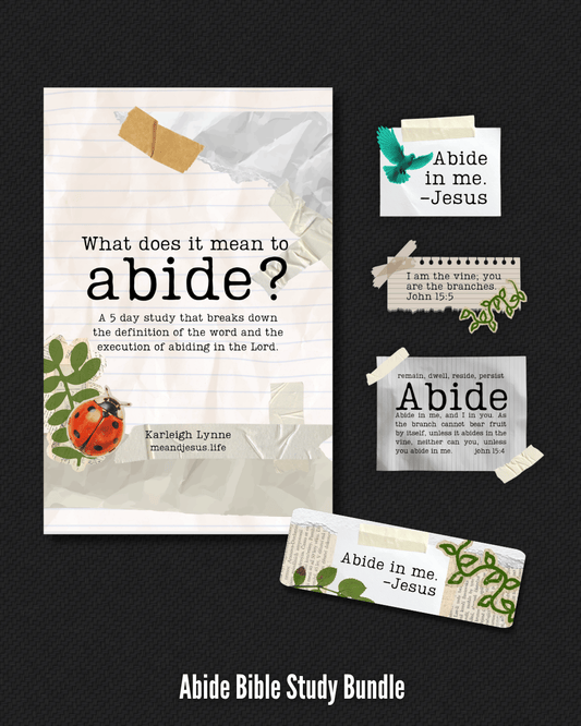 Abide Bible Study Bundle TYPO SALE