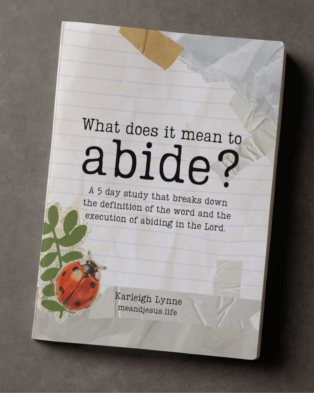Abide Bible Study Bundle TYPO SALE